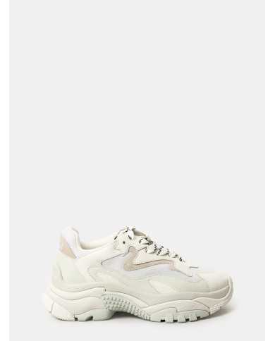 ASH Sneakers ADDICT