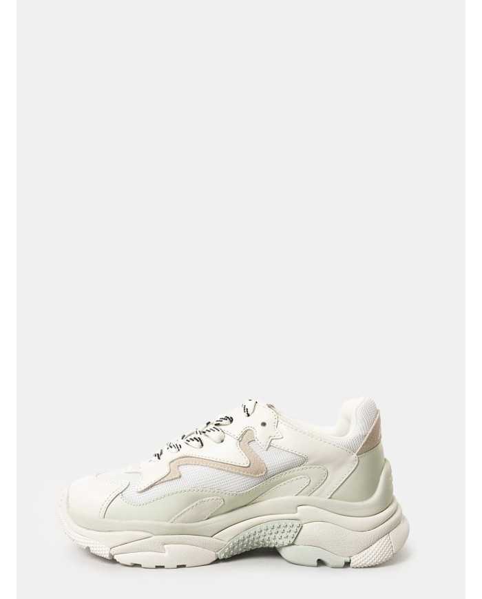 ASH Sneakers ADDICT