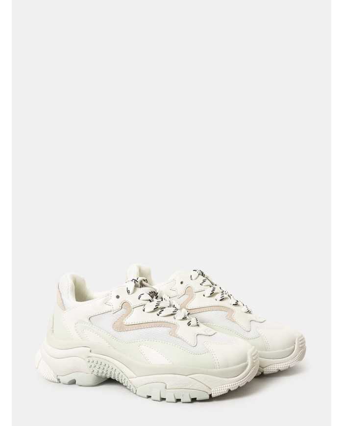 ASH Sneakers ADDICT