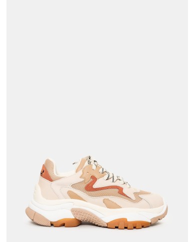 ASH Sneakers ADDICT