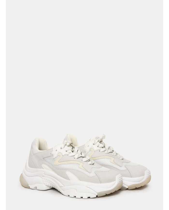 ASH Sneakers ADDICT