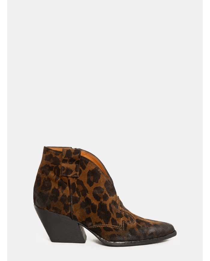 Elena Iachi Texano maculato