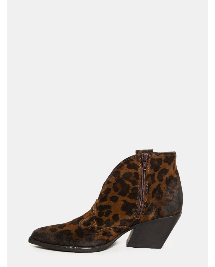 Elena Iachi Texano maculato