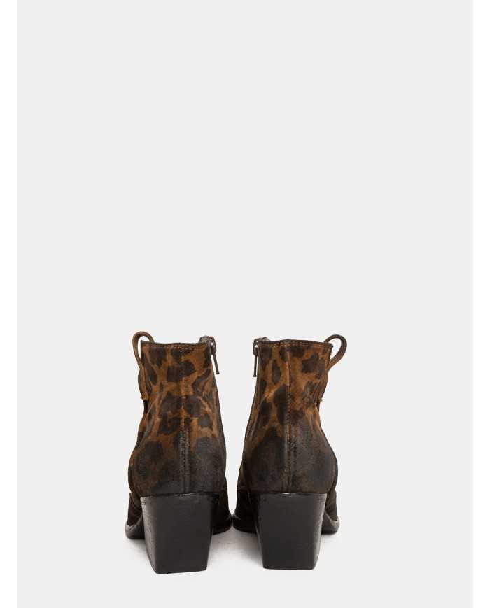 Elena Iachi Texano maculato