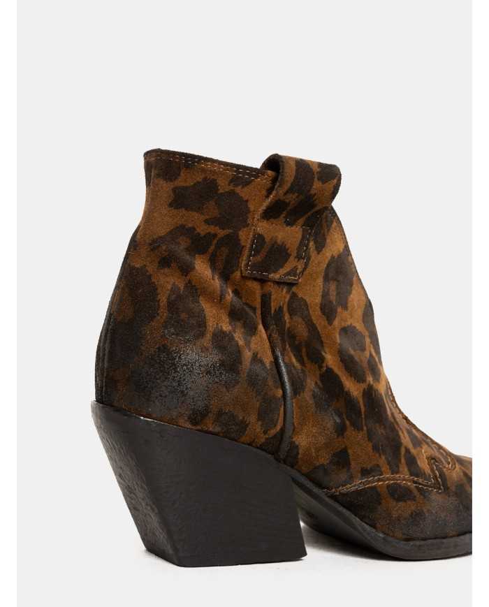 Elena Iachi Texano maculato