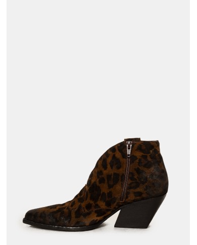 Elena Iachi Texano maculato