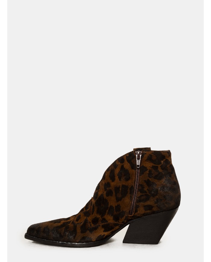 Elena Iachi Texano maculato