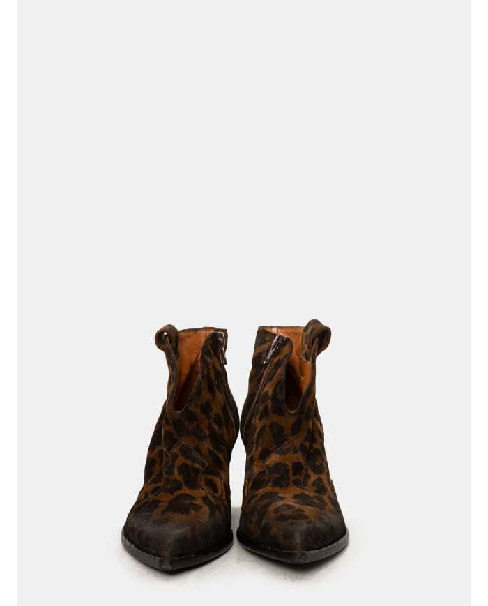 Elena Iachi Texano maculato