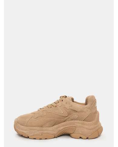 ASH Sneakers in suede