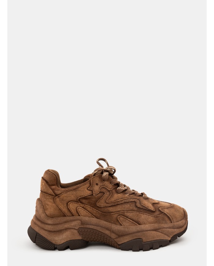 ASH Sneakers ADDICTBIS04 Suede Mink