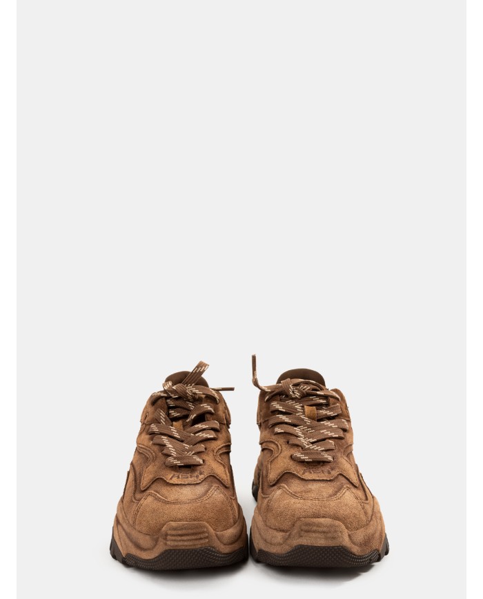 ASH Sneakers ADDICTBIS04 Suede Mink